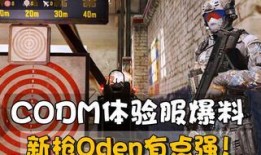 codm体验服最新爆料,神秘武器登场，战场格局再起风云